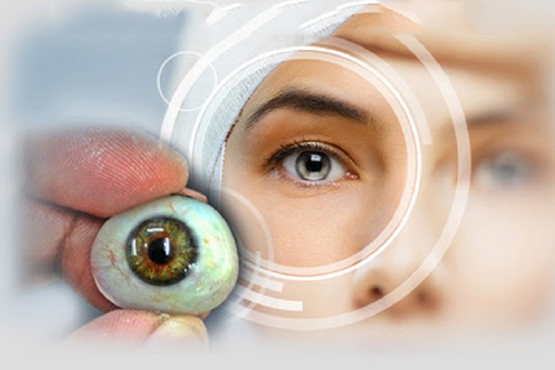 Artificial Eye (Ocularistry)